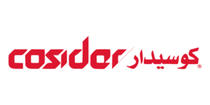 cosider logo scaled